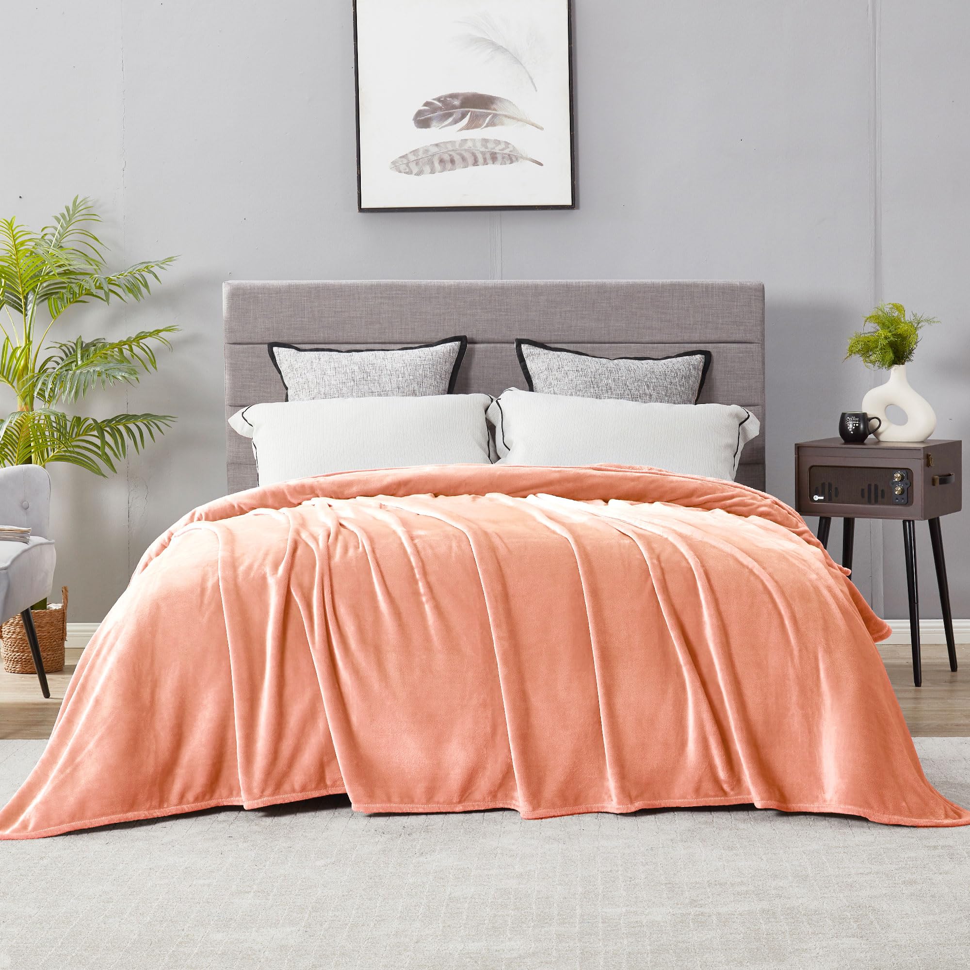 DREAMNINE Super Soft Fuzzy Fleece Throw Blanket for Couch Sofa 50" x 60", Decorative Solid Lightweight Velvet Blanket for Chair, Cozy Accent Shaggy Micro Plush Flannel Blankets for Bedroom Dorm, Peach
