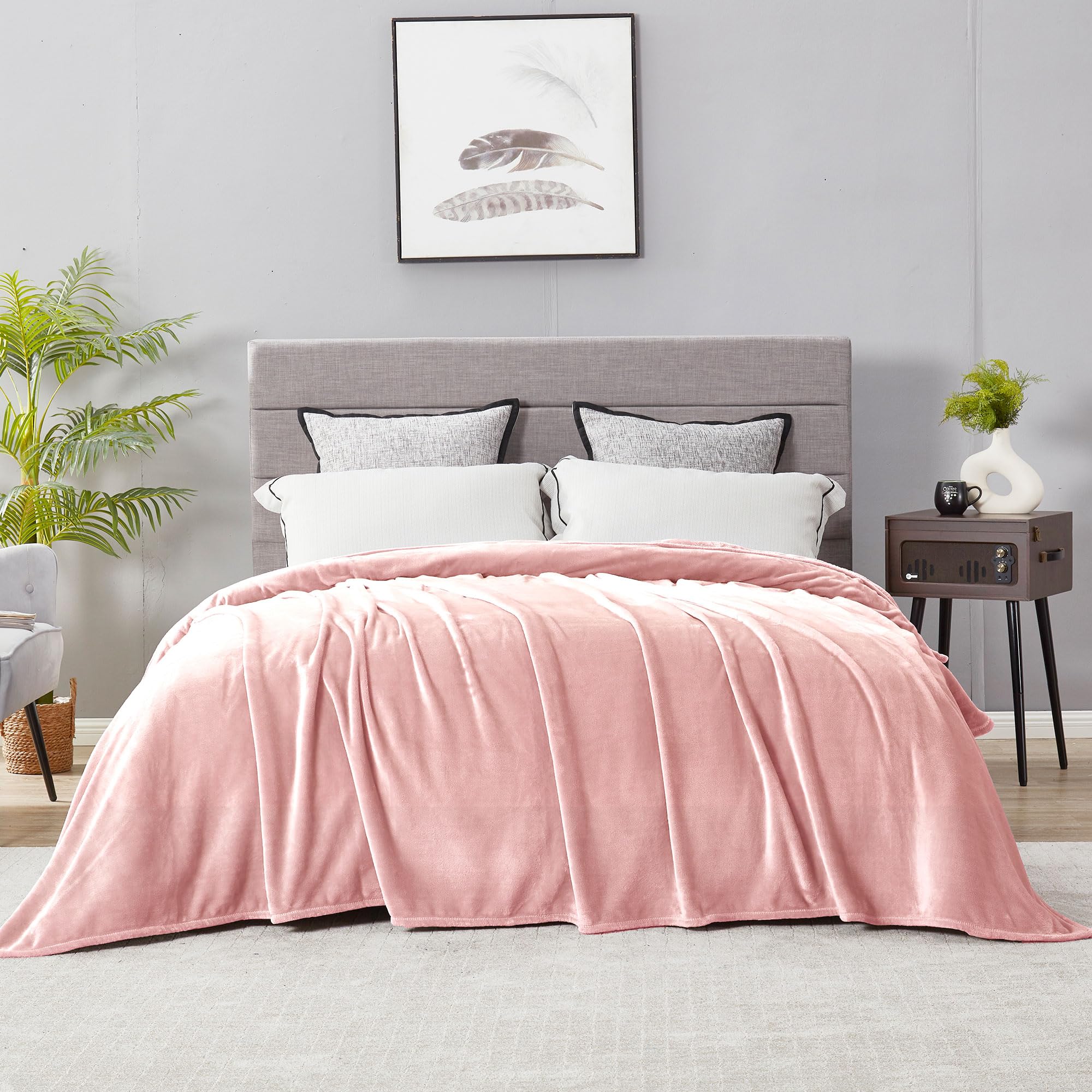 DREAMNINE Super Soft Fuzzy Fleece Throw Blanket for Couch Sofa 50" x 60", Decorative Solid Lightweight Velvet Blanket for Chair, Cozy Accent Shaggy Micro Plush Flannel Blankets for Bedroom Dorm, Peach