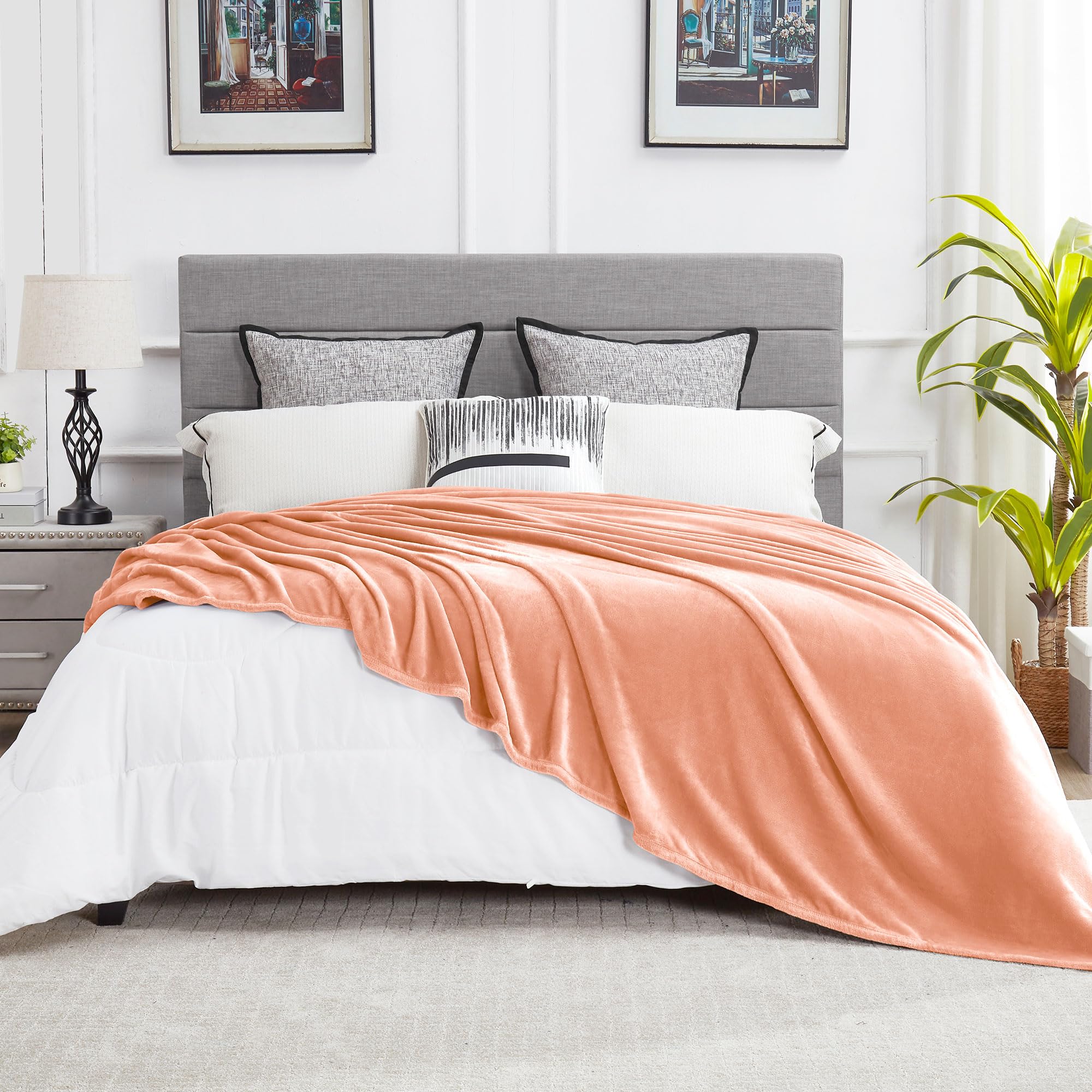 DREAMNINE Super Soft Fuzzy Fleece Throw Blanket for Couch Sofa 50" x 60", Decorative Solid Lightweight Velvet Blanket for Chair, Cozy Accent Shaggy Micro Plush Flannel Blankets for Bedroom Dorm, Peach