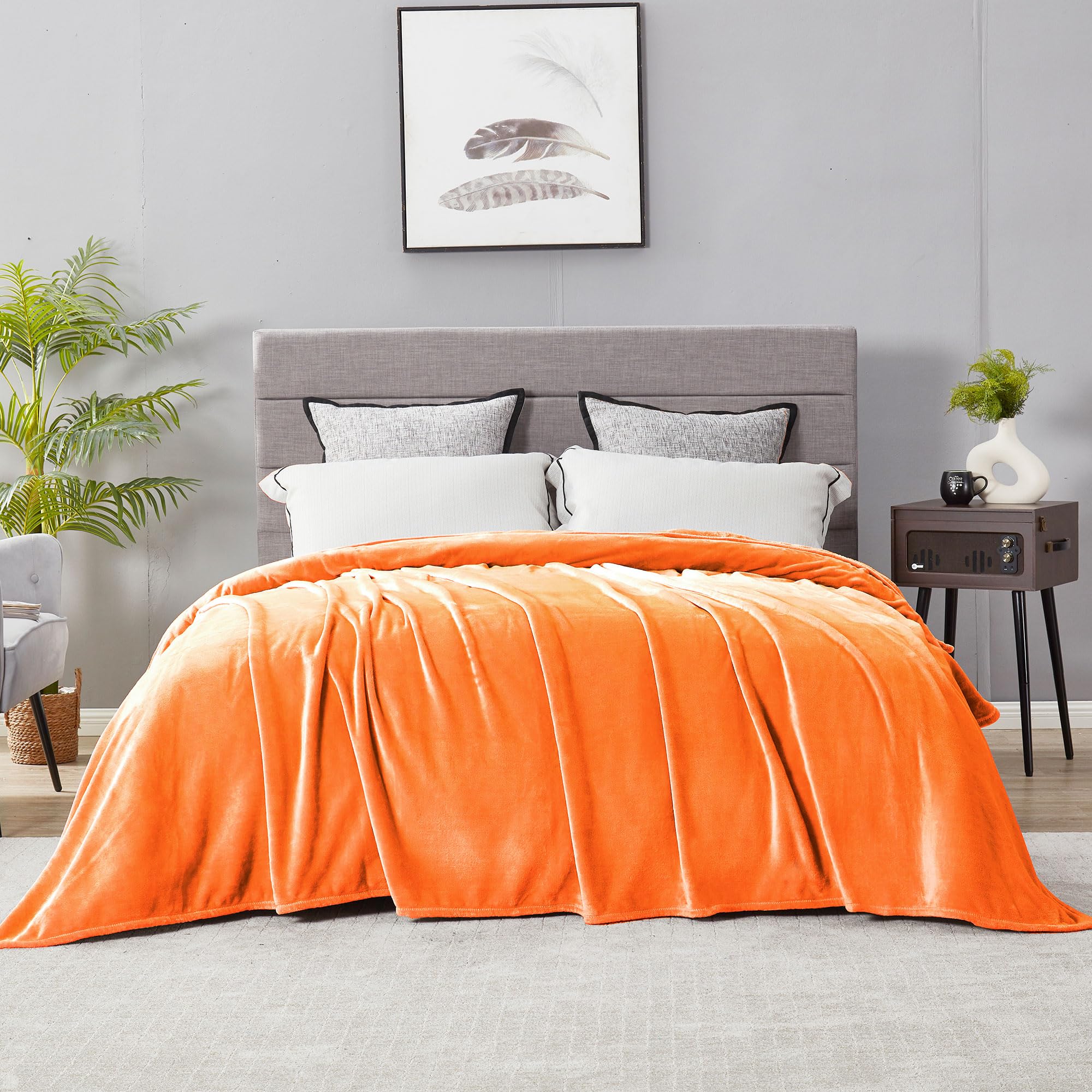 DREAMNINE Super Soft Fuzzy Fleece Throw Blanket for Couch Sofa 50" x 60", Decorative Solid Lightweight Velvet Blanket for Chair, Cozy Accent Shaggy Micro Plush Flannel Blankets for Bedroom Dorm, Peach