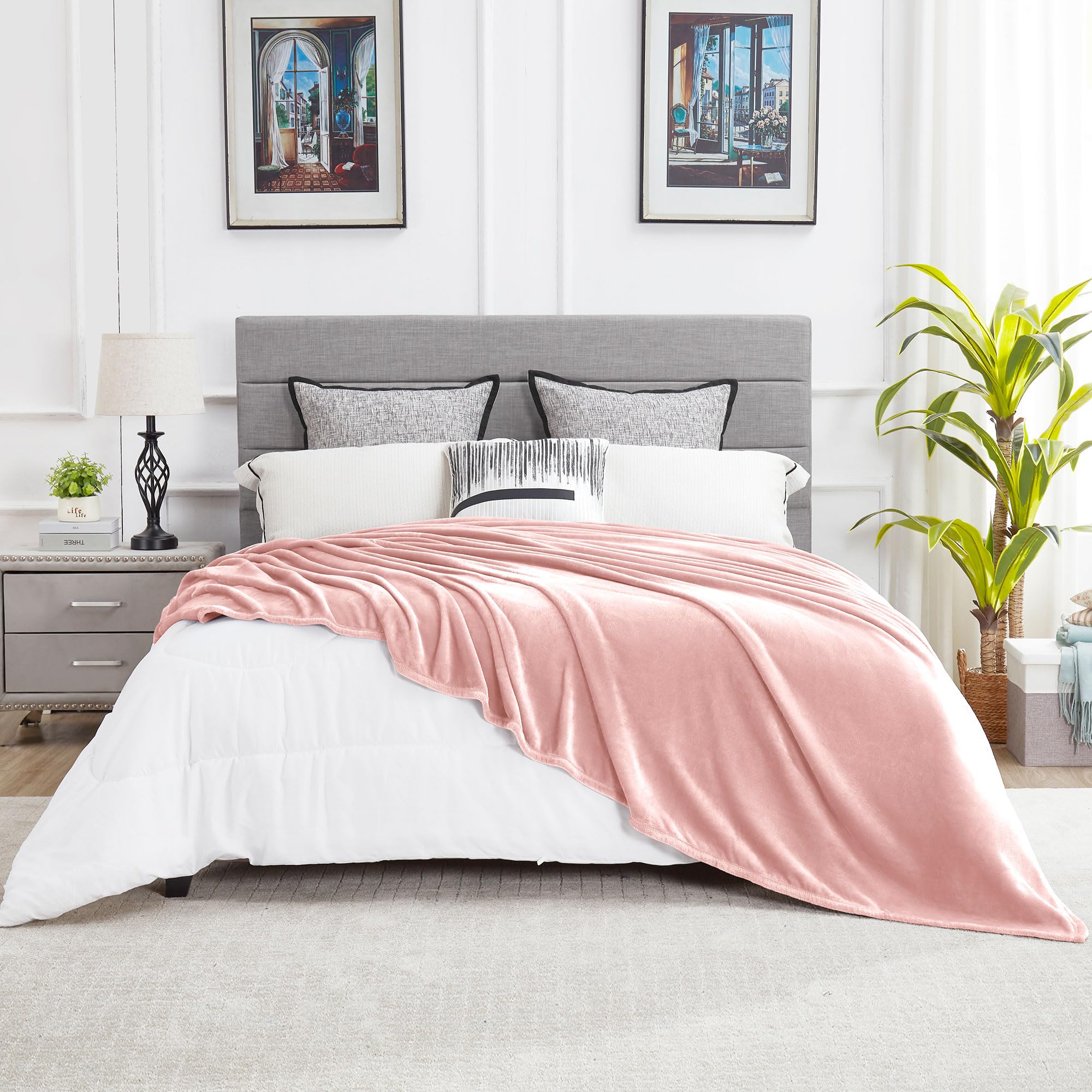 DREAMNINE Super Soft Fuzzy Fleece Throw Blanket for Couch Sofa 50" x 60", Decorative Solid Lightweight Velvet Blanket for Chair, Cozy Accent Shaggy Micro Plush Flannel Blankets for Bedroom Dorm, Peach