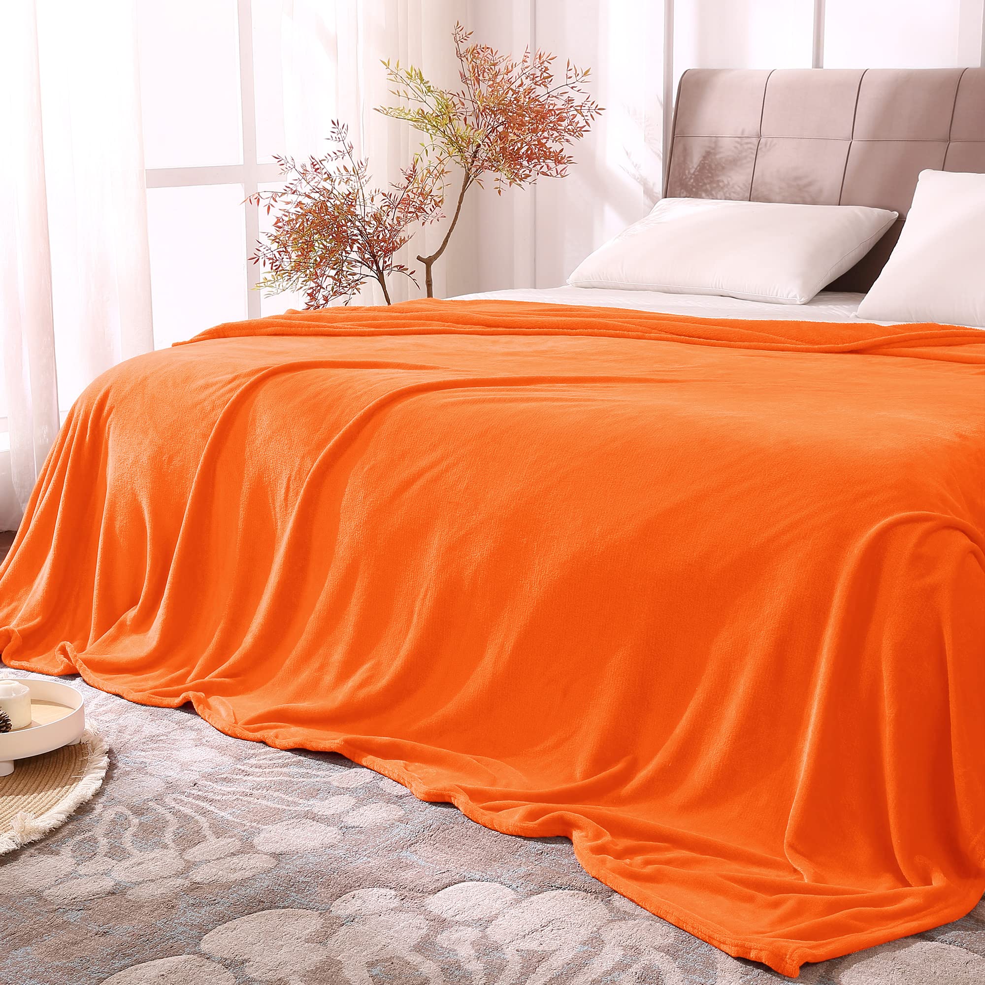 BEDELITE Fleece Blanket Black Throw Blankets for Couch & Bed, Luxury Plush Cozy Fuzzy Blanket 50x60 inches, Super Soft Warm Lightweight Throw Blanket for Travel Camping